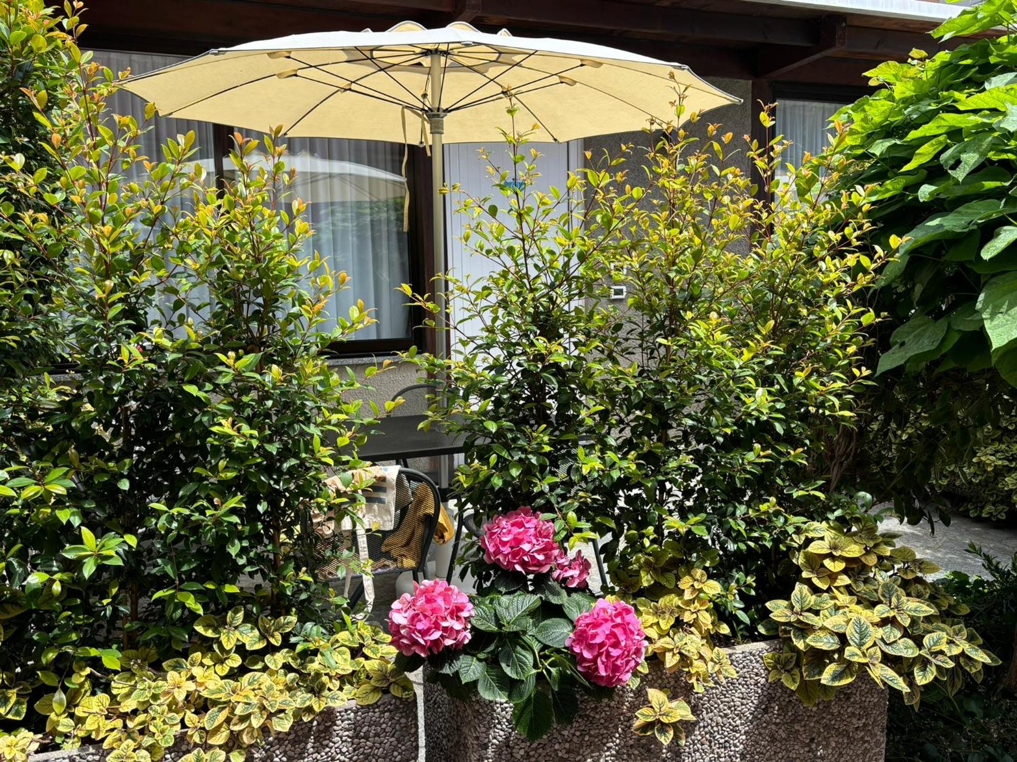Hotel Delle Rose سان بارتولومِيو آل ما المظهر الخارجي الصورة